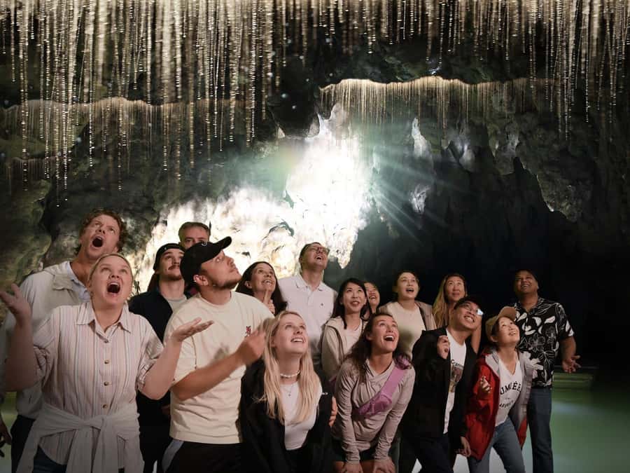 Auckland: Hobbiton & Waitomo Caves Small-Group Tour & Lunch - FAQ