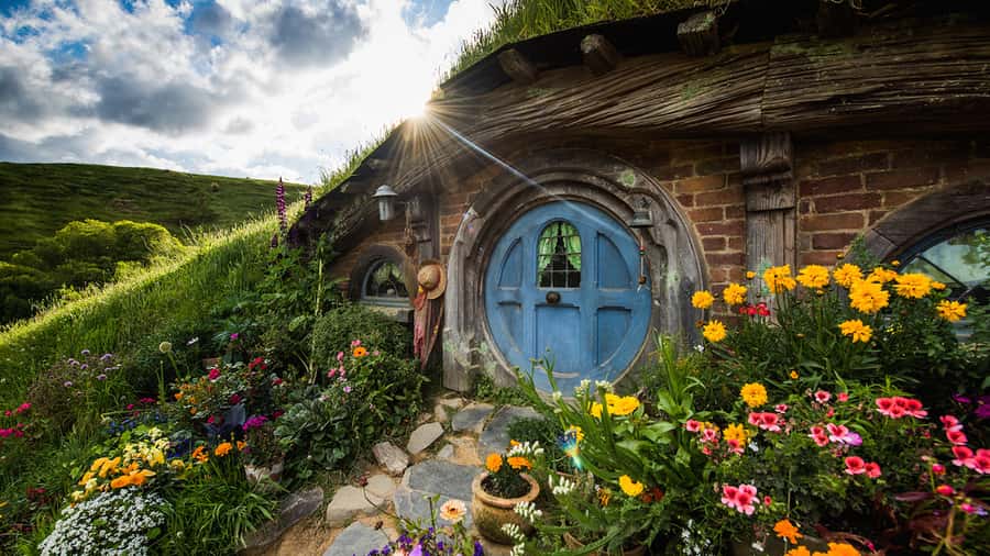 Auckland: Hobbiton & Waitomo Caves Small-Group Tour & Lunch - The return to Auckland and the small-group advantage