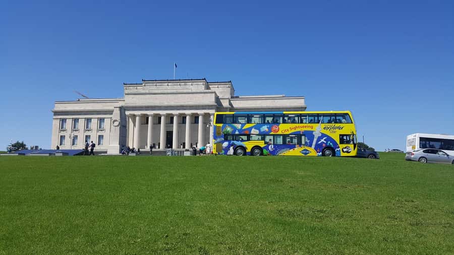 Auckland: Hop-On Hop-Off Explorer Bus Ticket - Starting downtown at Customs Street or Sky Tower