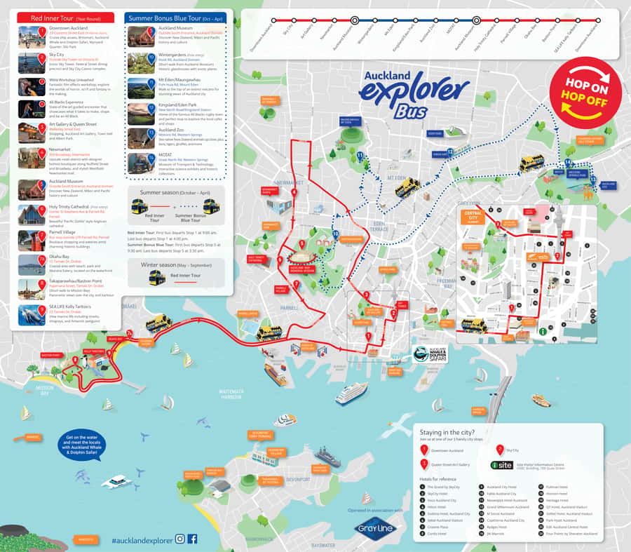 Auckland: Hop-On Hop-Off Explorer Bus Ticket - Is the $38 ticket good value?