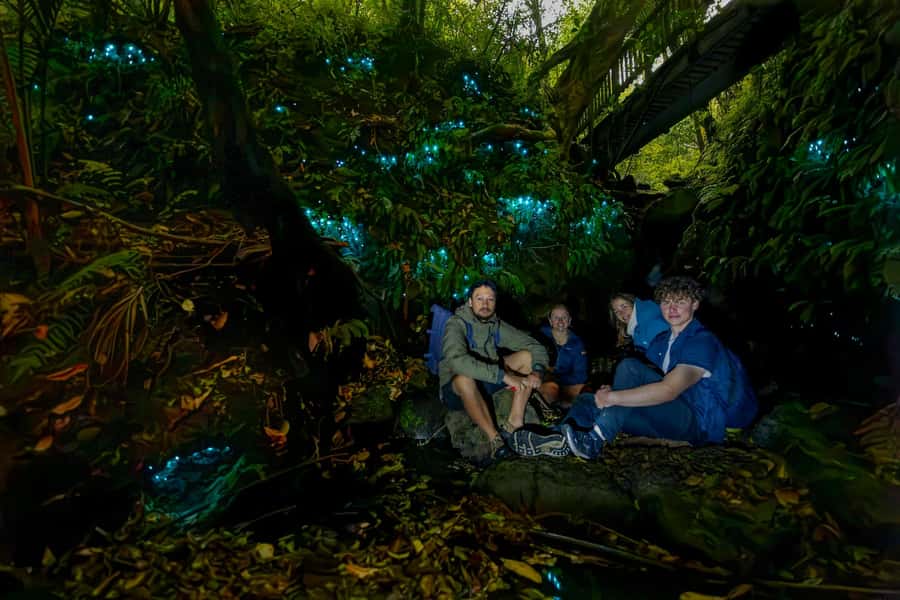 Auckland: Inner-City Glowworm Experience in Ancient Volcano - Key points to know before you go