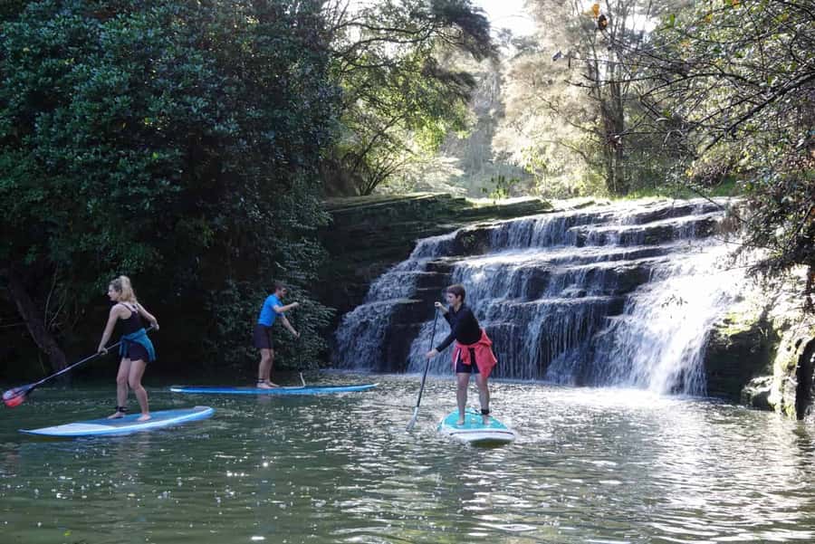 Auckland: Lucas Creek Waterfall SuP Tour - Key points to know before booking