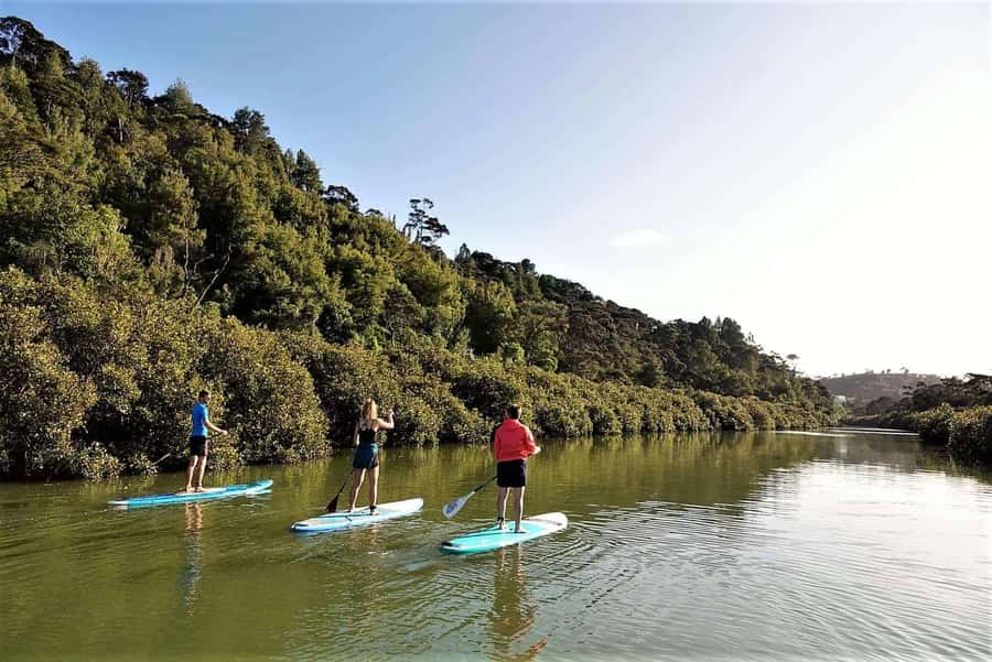 Auckland: Lucas Creek Waterfall SuP Tour - Why Lucas Creek makes a good SUP setting
