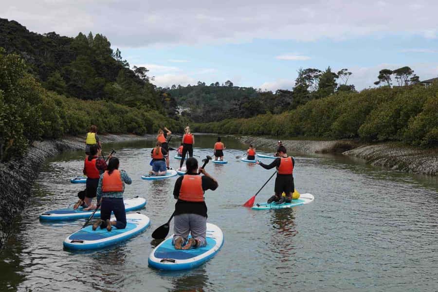 Auckland: Lucas Creek Waterfall SuP Tour - The 30-minute safety session