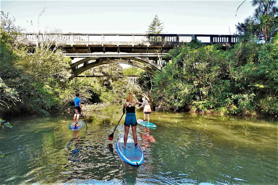 Auckland: Lucas Creek Waterfall SuP Tour - Meeting at 31 Wharf Road