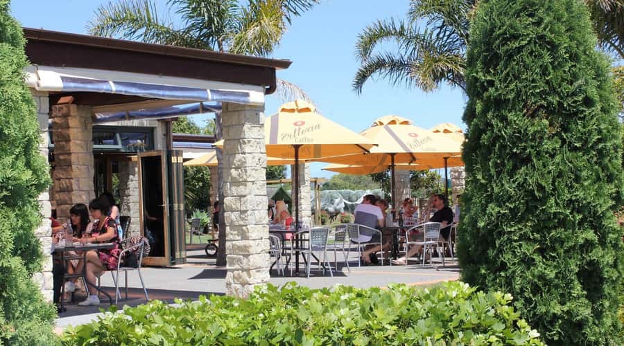 Auckland: Luxury Kumeu Wine Tour with Gourmet Lunch - Key points to know before booking