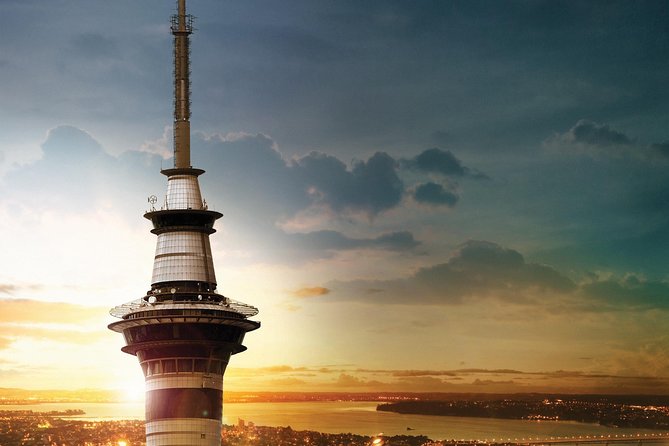 Auckland Māori Culture Experience - Private Tour - Bastion Point and the story behind the view