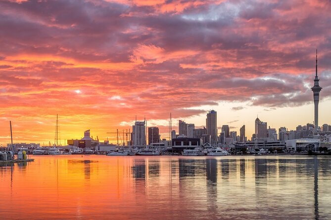 Auckland Māori Culture Experience - Private Tour - Private transport, lunch, and the real value of the price