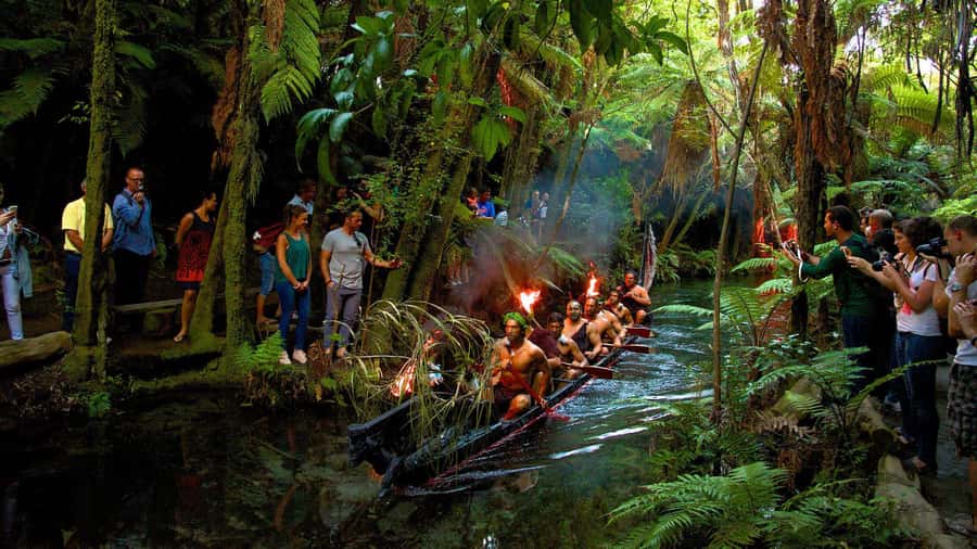 Auckland: Māori Evening Dinner and Private Show Experience - The Auckland pickup and three-hour road journey