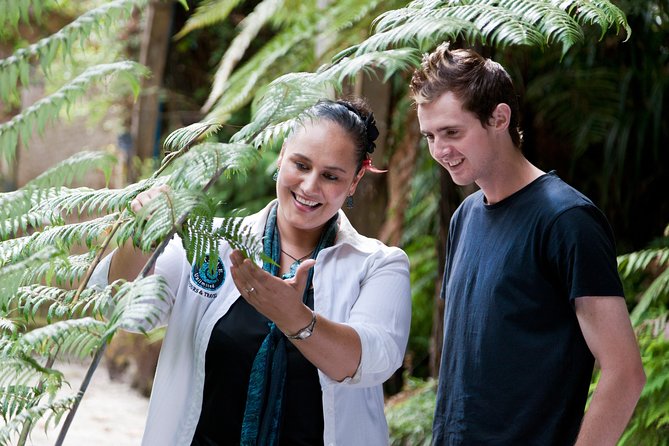 Auckland Maori Tour - Why a Māori guide changes the day