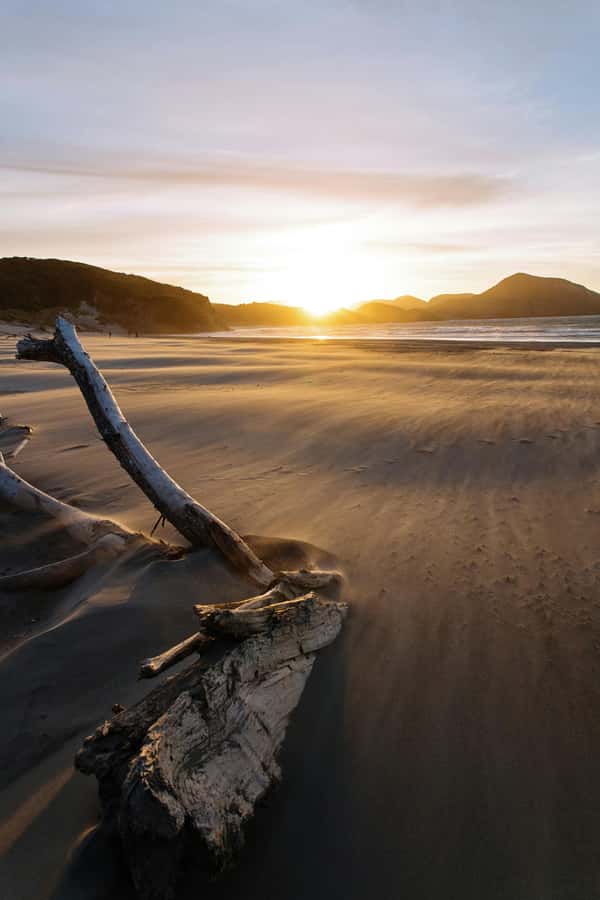 Auckland: Mt. Eden, Piha Beach & Karekare Private Tour - Five details that shape the day