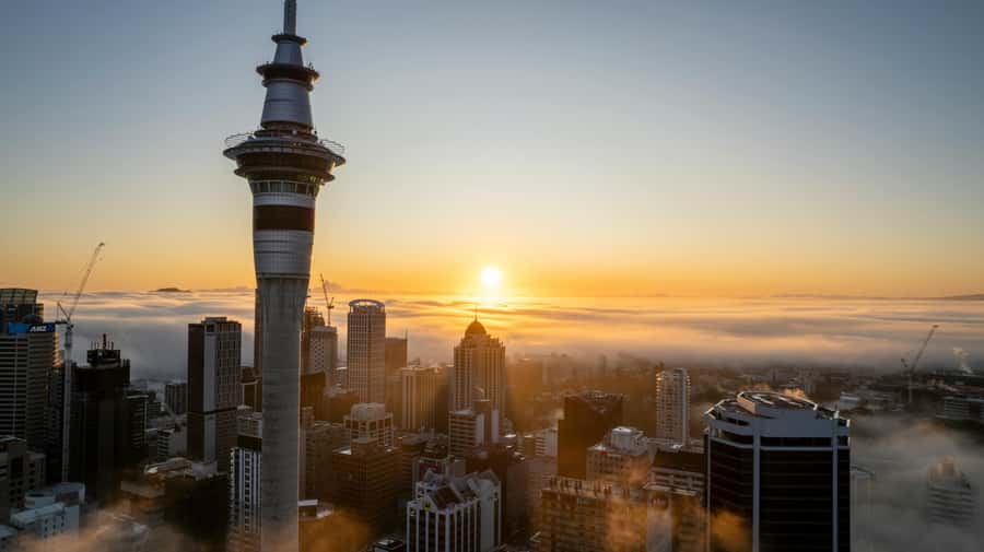 Auckland: Mt. Eden, Piha Beach & Karekare Private Tour - Arataki Visitor Centre and the Waitākere Ranges