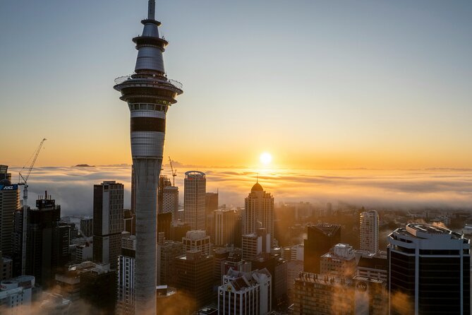 Auckland Museum and Highlight Sightseeing Tour - Key points at a glance