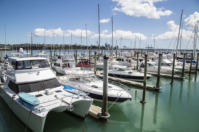 Auckland Museum and Highlight Sightseeing Tour - Why this short Auckland tour works