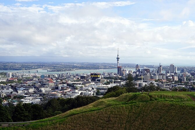 Auckland Museum and Highlight Sightseeing Tour - Auckland Harbour Bridge in 30 minutes