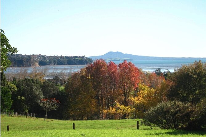 Auckland Nature Tour - Why this half-day tour works for nature lovers