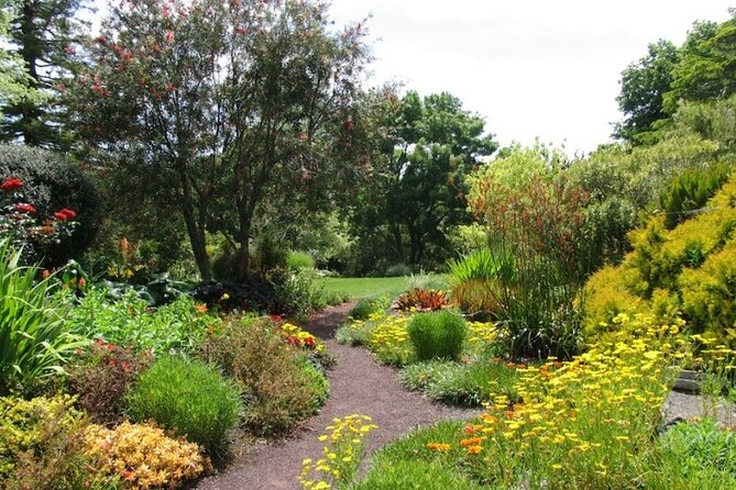 Auckland Nature Tour - The guide can shape the whole morning