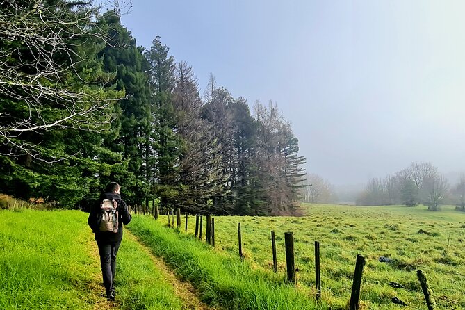 Auckland Nature Tour - What $198.58 buys you