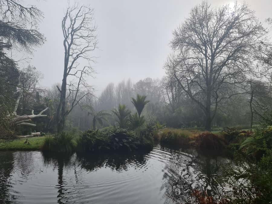 Auckland Nature Tour - Who will enjoy this Auckland nature tour?