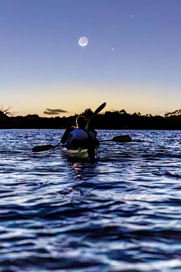 Auckland: Night Kayak Tour in Glowing Bioluminescent Waters - Key points to know before you book