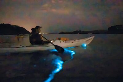 Night Kayak Tour in Glowing Bioluminescent Waters