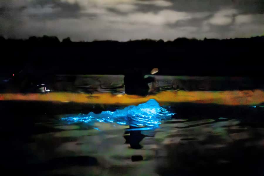 Auckland: Night Kayak Tour in Glowing Bioluminescent Waters - What to wear for a wet launch