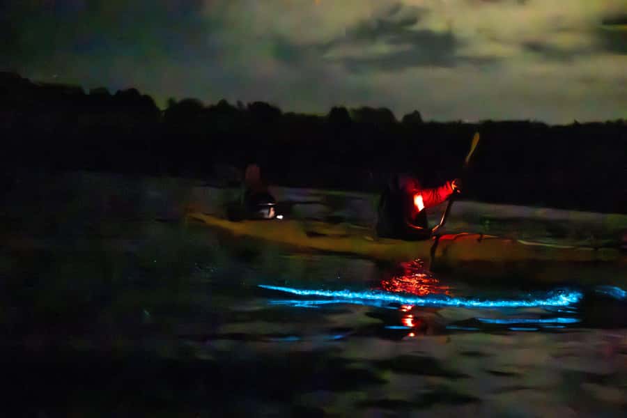 Auckland: Night Kayak Tour in Glowing Bioluminescent Waters - Timing, moon phases, and the length of the night