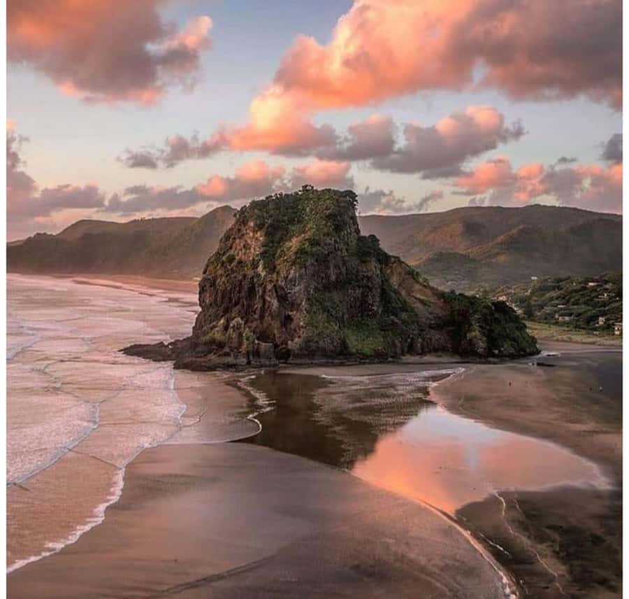 Auckland: Piha Beach, Rainforest, & Mount Eden Private Tour - Why this half-day route works so well