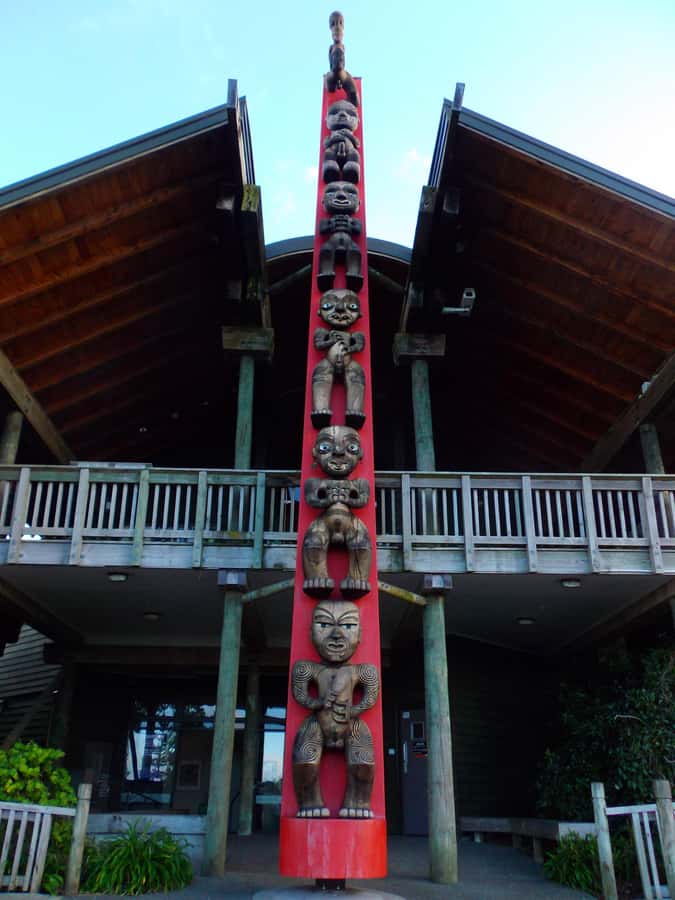Auckland: Piha Beach, Rainforest, & Mount Eden Private Tour - A rainforest walk beneath kauri and nikau palms