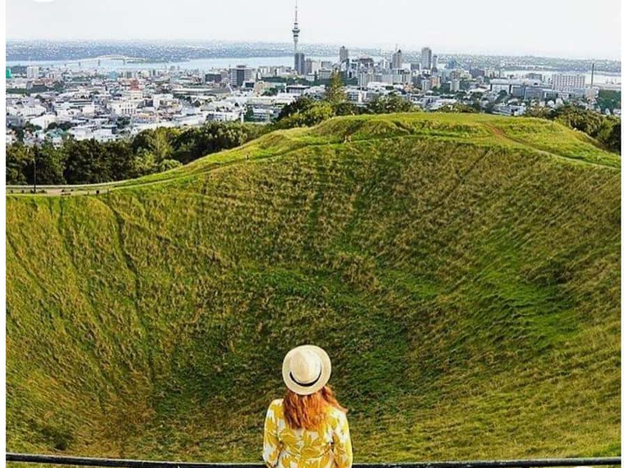 Auckland: Piha Beach, Rainforest, & Mount Eden Private Tour - Is $262 per person good value?