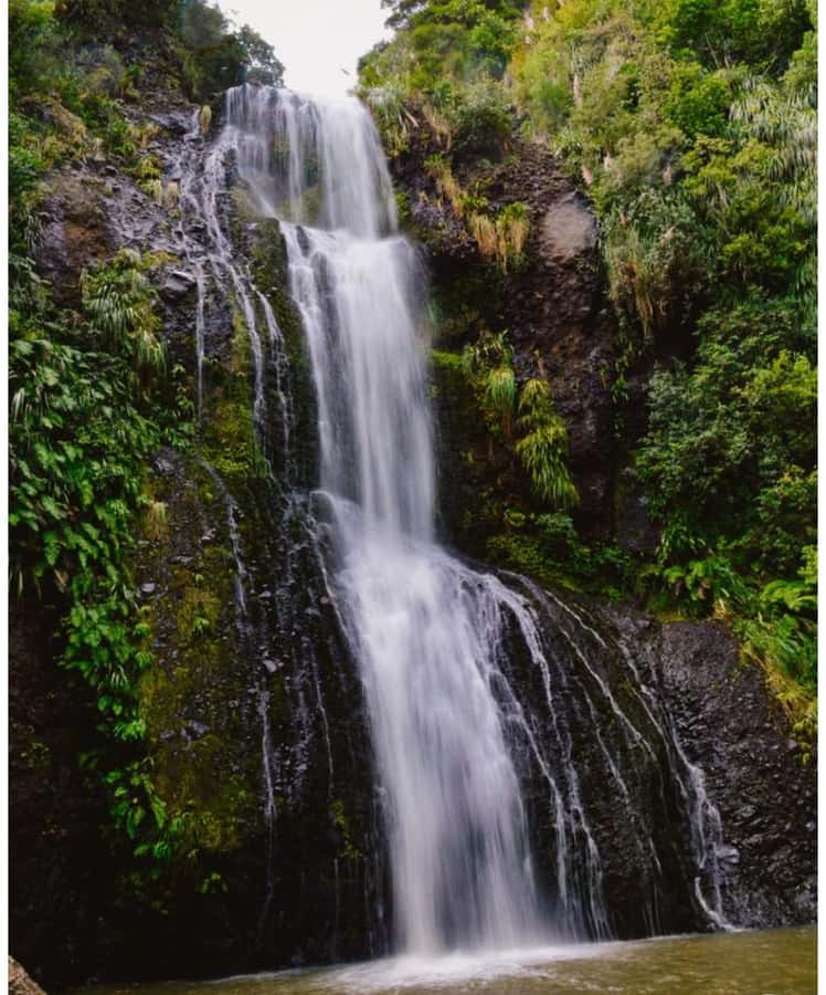 Auckland: Piha Beach, Rainforest, & Mount Eden Private Tour - Practical advice for a smoother five hours