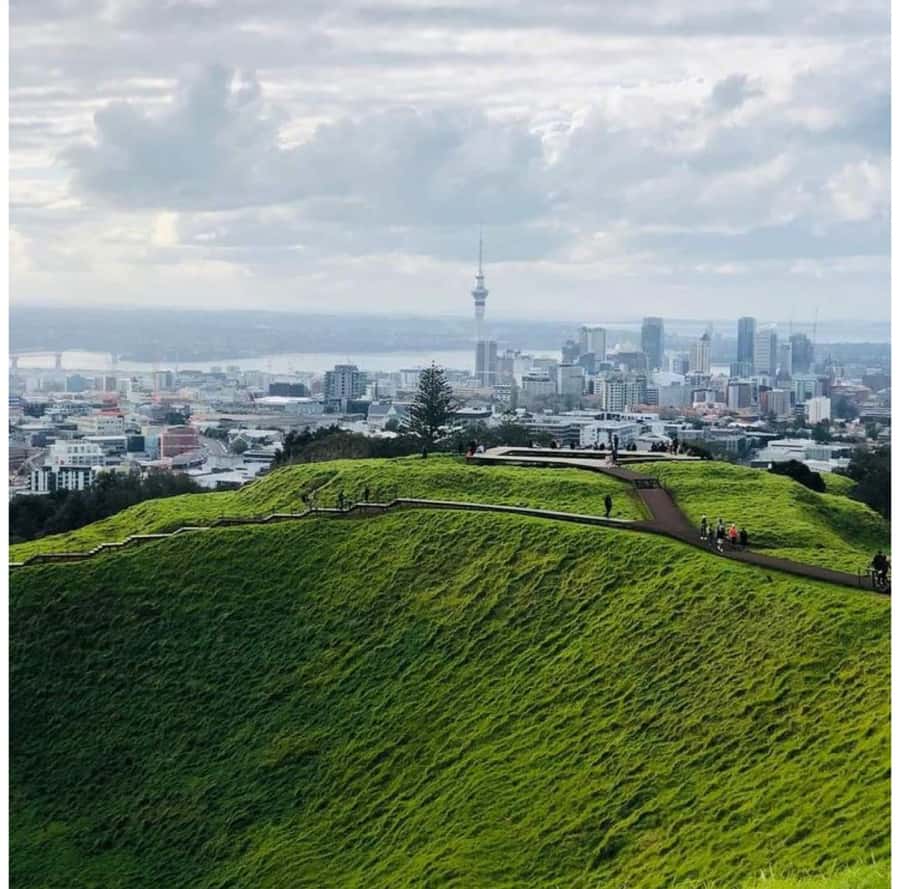 Auckland: Piha Beach, Rainforest, & Mount Eden Private Tour - Arataki Visitor Centre and the Waitākere Ranges