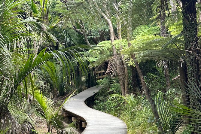 Auckland Private City Highlights Tour 5hrs Sightseeing Experience - Forty-five minutes on Mt. Eden