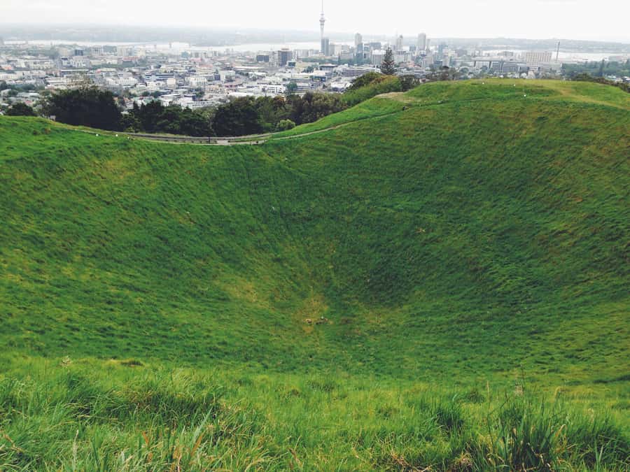 Auckland: Private City Tour with Mount Victoria and Mt. Eden - Key points at a glance