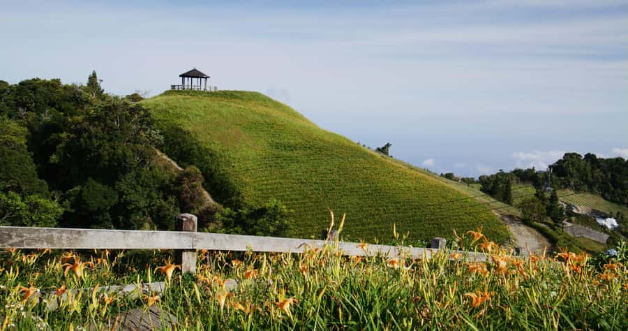 Auckland: Private City Tour with Mount Victoria and Mt. Eden - Why this private Auckland tour works well