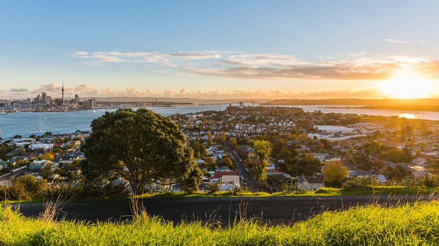 Auckland: Private City Tour with Mount Victoria and Mt. Eden - Mission Bay and Achilles Point