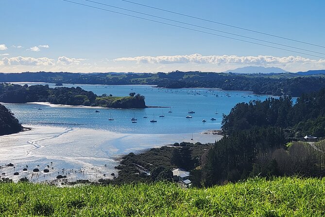 Auckland Private Custom Journeys in Luxury - Five details that shape the experience