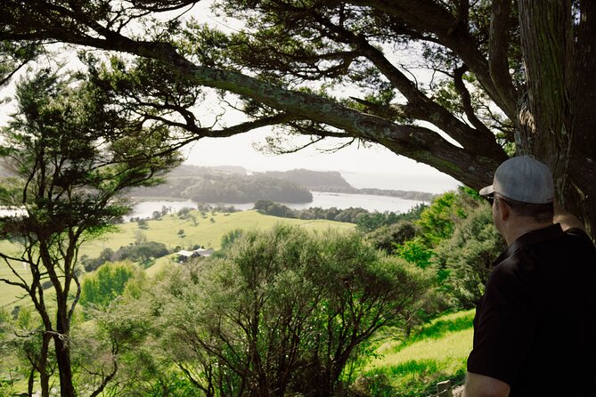 Auckland Private Custom Journeys in Luxury - Tawharanui: the day’s best all-round outdoor stop