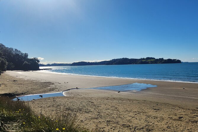 Auckland Private Custom Journeys in Luxury - Brick Bay and Sawmill: two excellent lunch choices