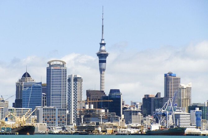 Auckland Private Custom Walking Tour with A Guide (Private Tour) - A private first look at Auckland