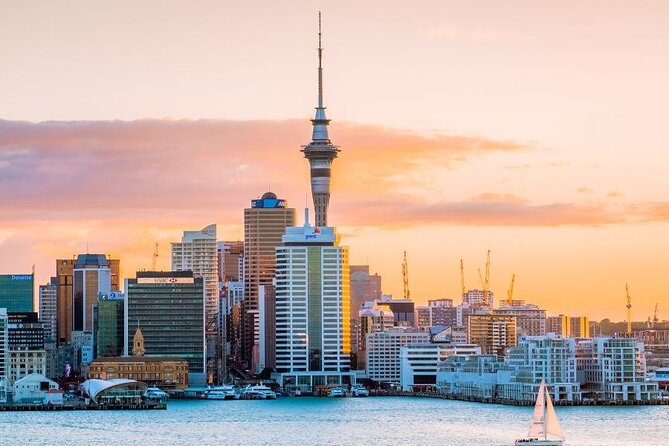 Auckland Private Custom Walking Tour with A Guide (Private Tour) - Choosing your Auckland route