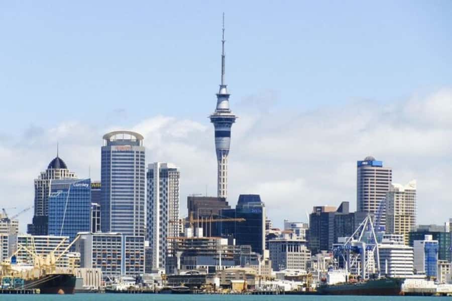 Auckland: Private Customizable Walking Tour with Local Guide - Starting with your own priorities
