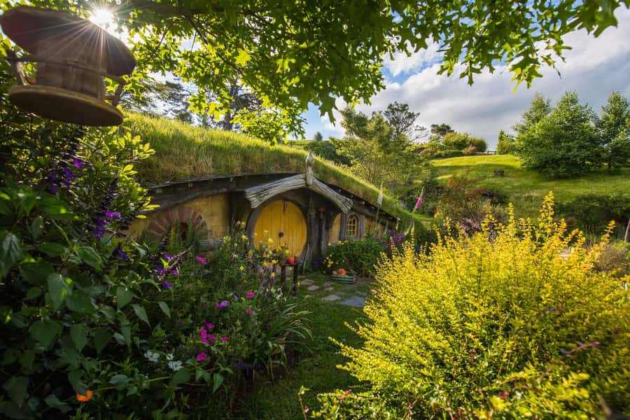 Auckland: Private Hobbiton Movie Set & Waitomo Caves Tour - Key points to know before booking
