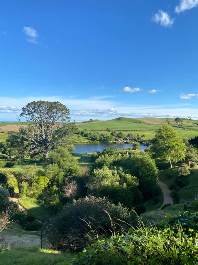 Auckland: Private Hobbiton Movie Set & Waitomo Caves Tour - The road south through Waikato