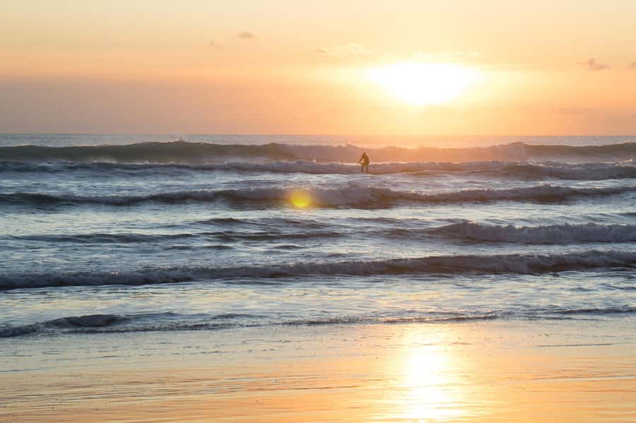 Auckland Private Tour: West Coast Wilderness & Piha Beach - Karekare Waterfall and the forest setting
