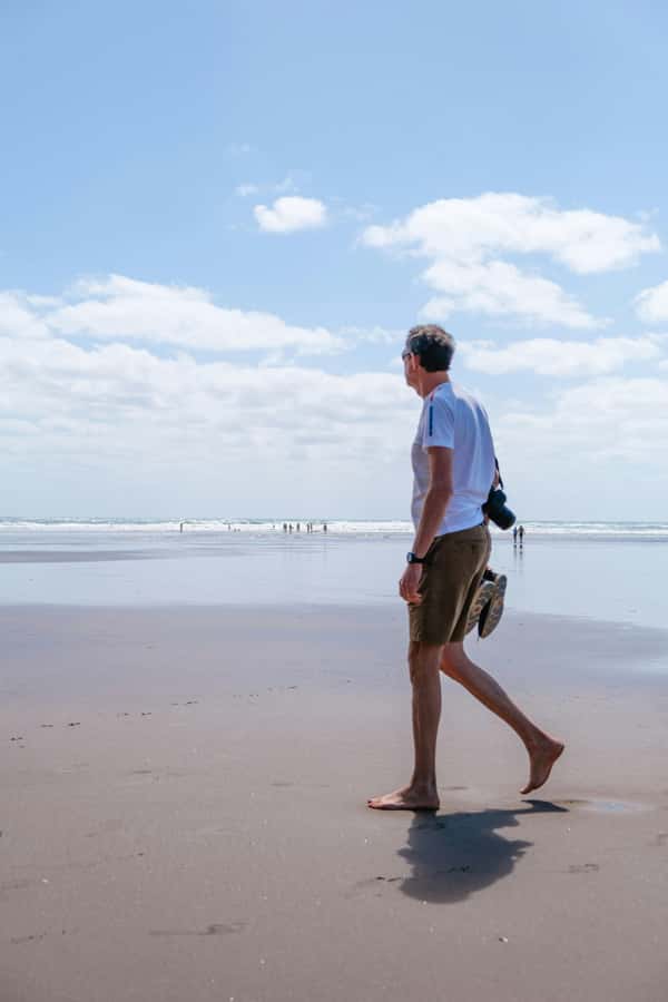 Auckland Private Tour: West Coast Wilderness & Piha Beach - Mercer Bay Loop and extra viewpoints