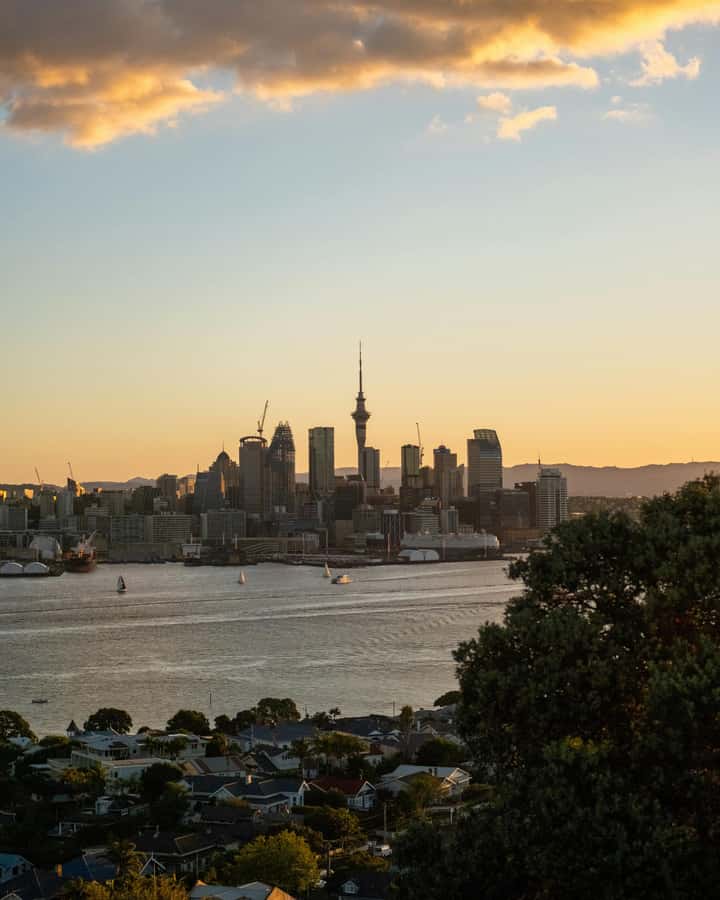 Auckland Private Tour: West Coast Wilderness & Piha Beach - Price, inclusions, and what you still need to pay for