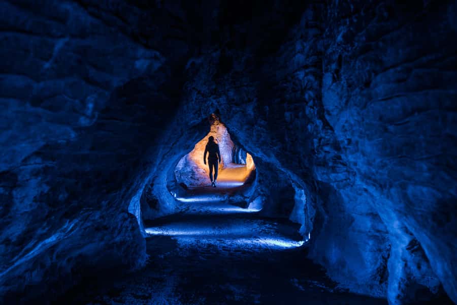 Auckland: Redwood Glowworms, ALTITUDE ZIPLINE & Blue Springs - Key points to know before booking