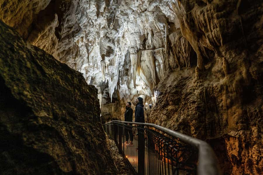 Auckland: Redwood Glowworms, ALTITUDE ZIPLINE & Blue Springs - Why this day trip works so well