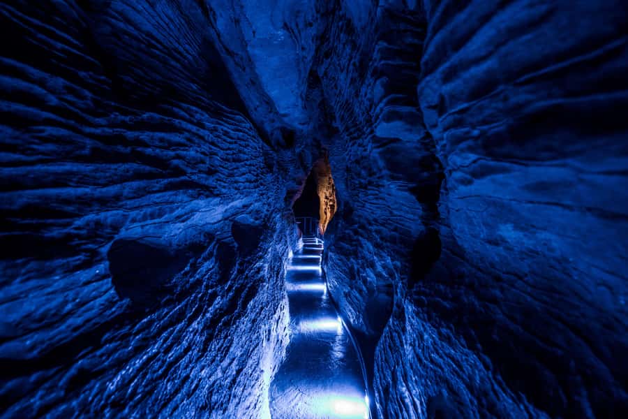 Auckland: Redwood Glowworms, ALTITUDE ZIPLINE & Blue Springs - A small glowworm cave with a personal touch
